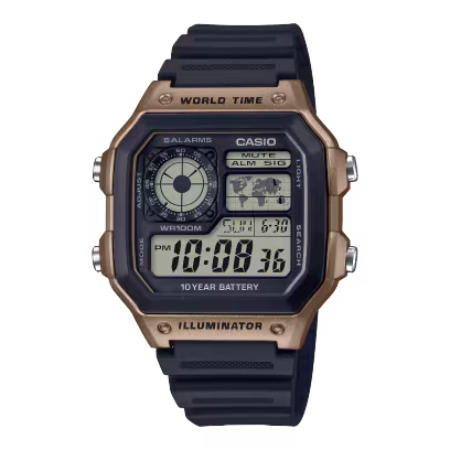 AE-1200WH-5A