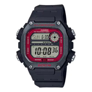 DW-291H-1BV